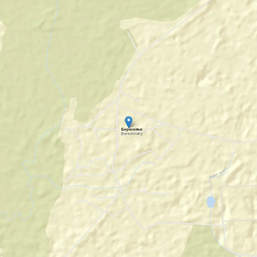 село Березняки індекс 37811
