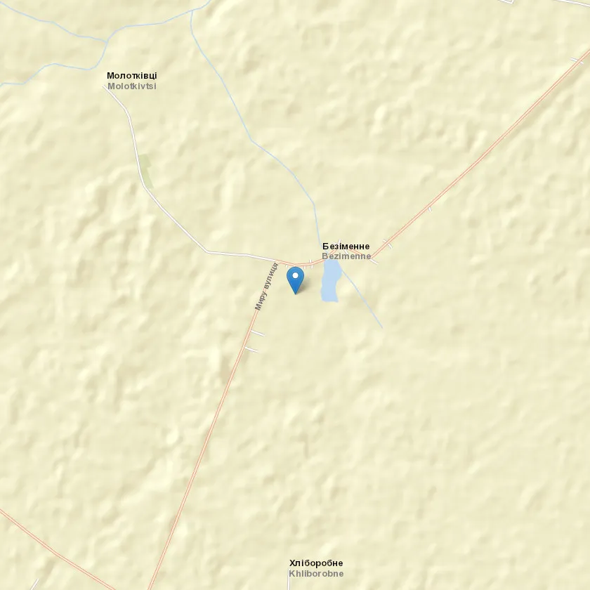 село Безіменне індекс 22114