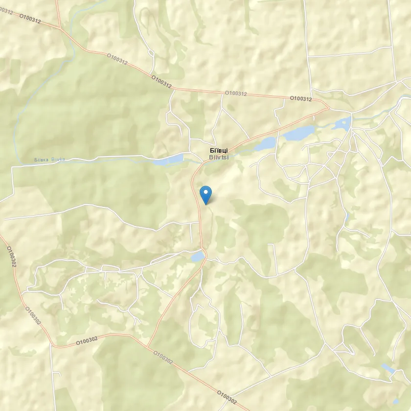 село Біївці індекс 09741