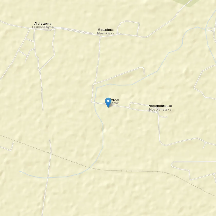 село Борок індекс 13422