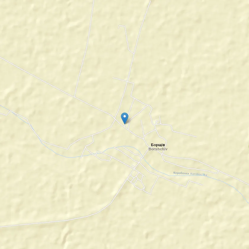село Борщів індекс 12251