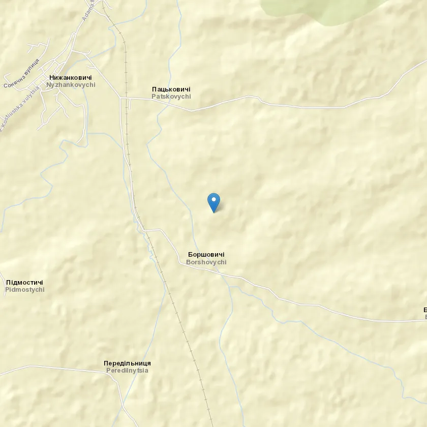 село Боршевичі індекс 82007