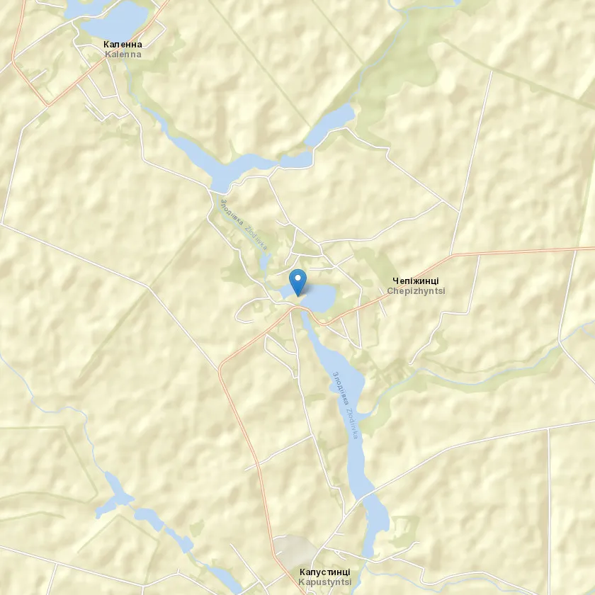 село Чепіжинці індекс 09309