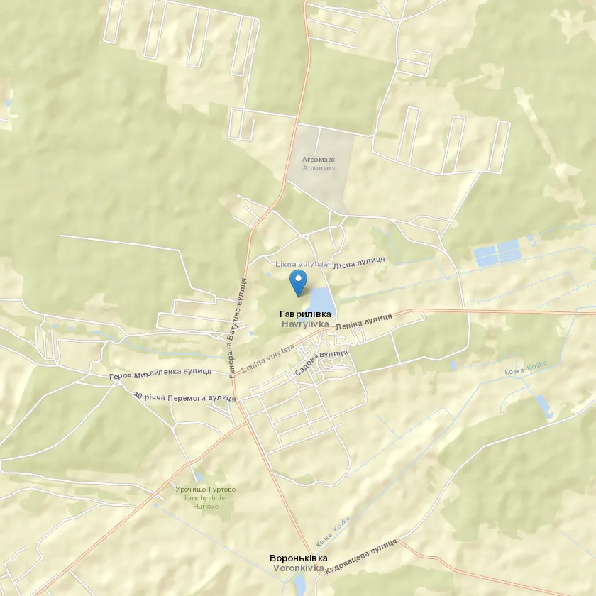 село Гаврилівка індекс 07350