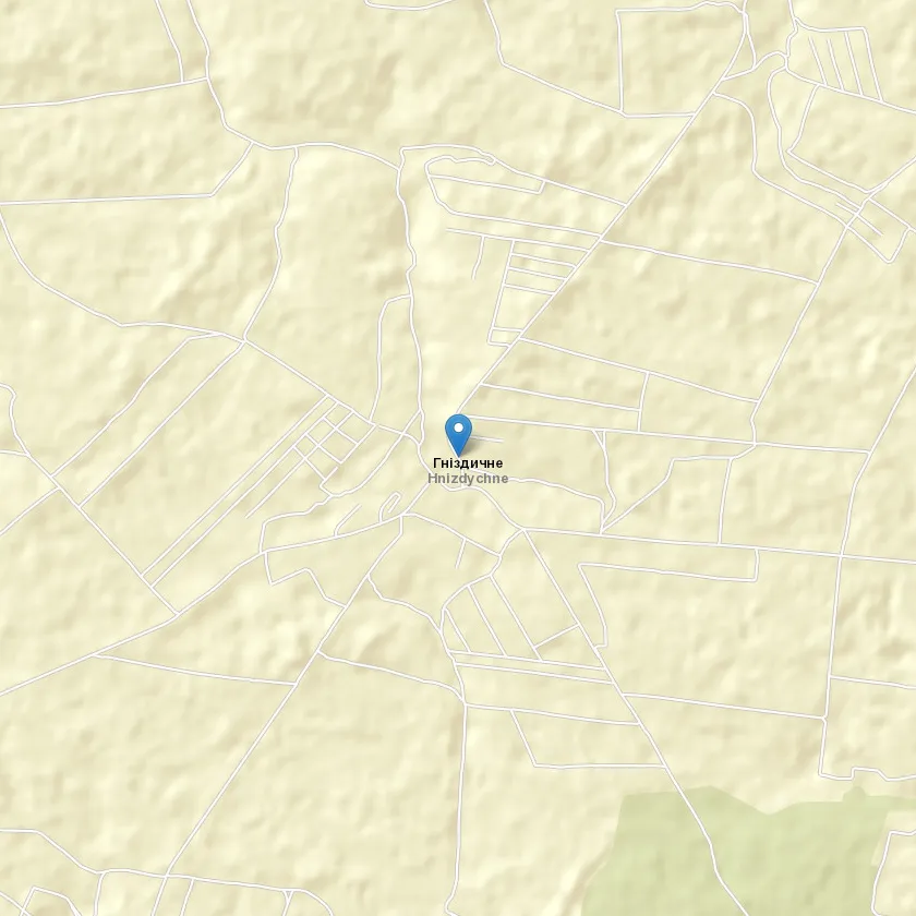 село Гніздичне індекс 47332