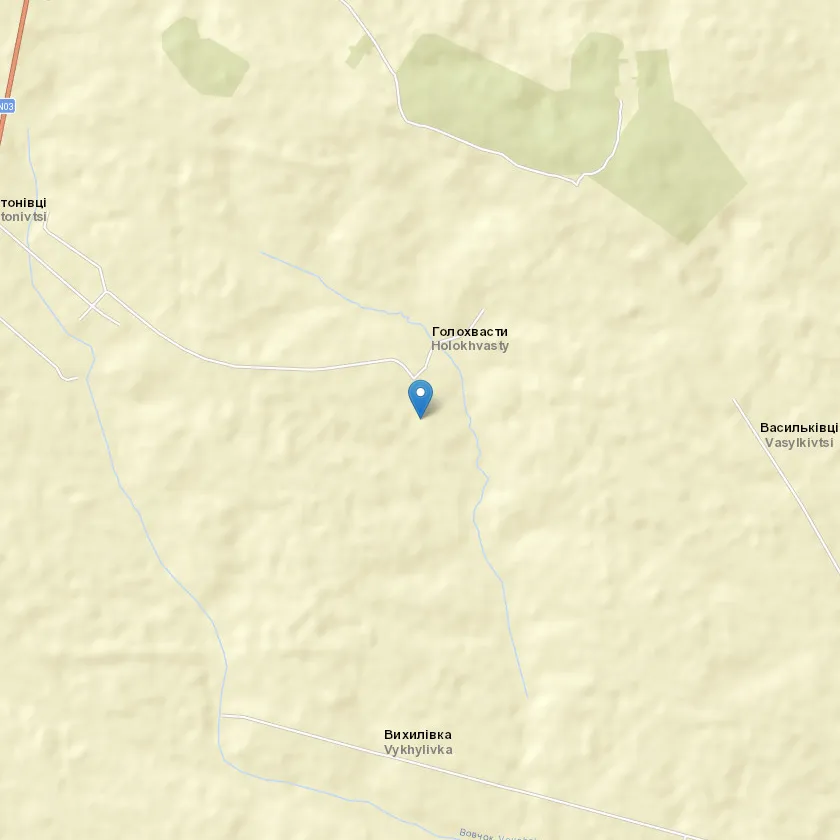 село Голохвасти індекс 32113