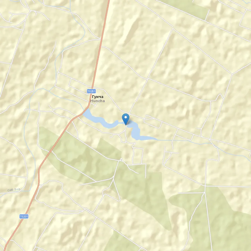 село Гунча індекс 23724