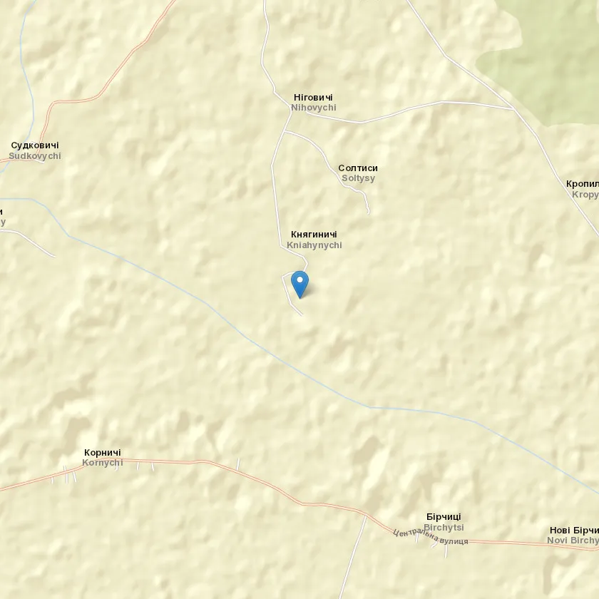 село Княгиничі індекс 81345