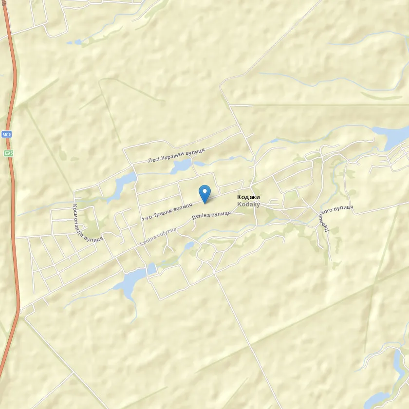 село Кодаки індекс 08645