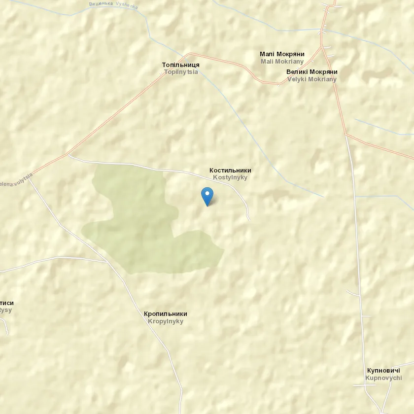село Костильники індекс 81357