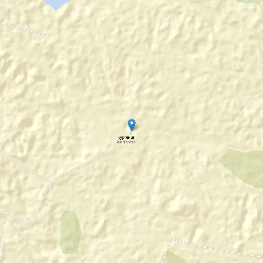село Кур'янці індекс 22231