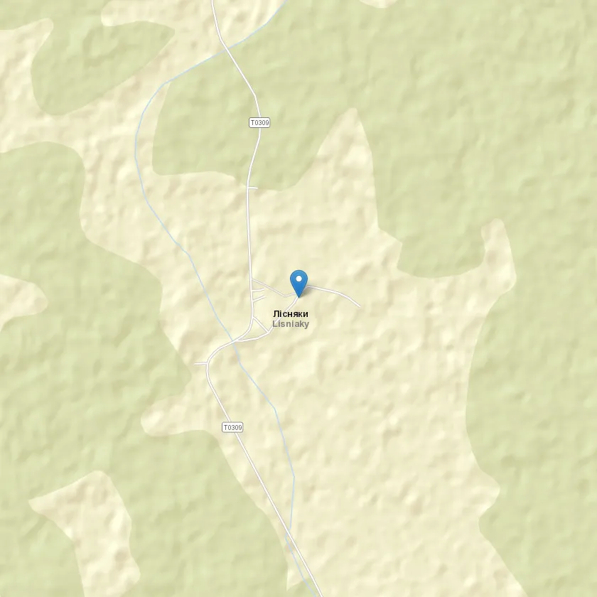 село Лісняки індекс 44464