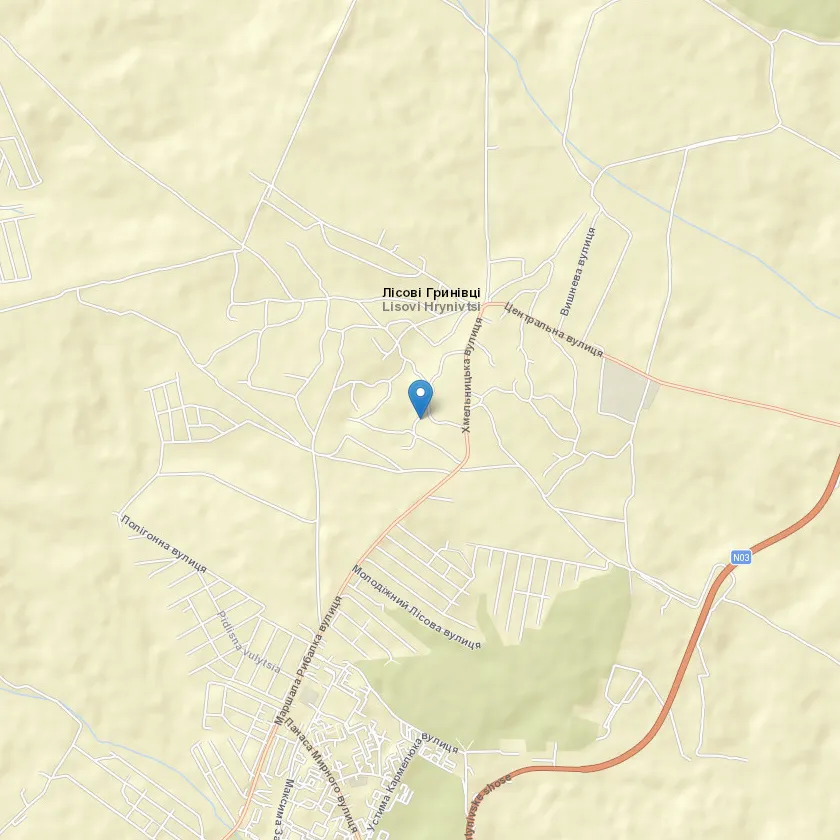село Лісові Гринівці індекс 31340