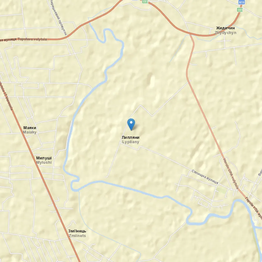 село Липляни індекс 45295