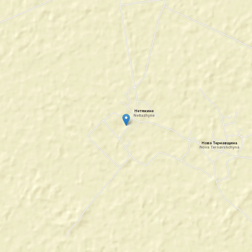 село Нетяжино індекс 17572
