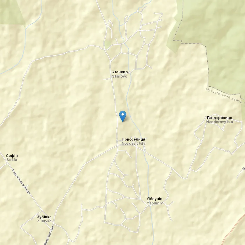 село Новоселиця індекс 89666
