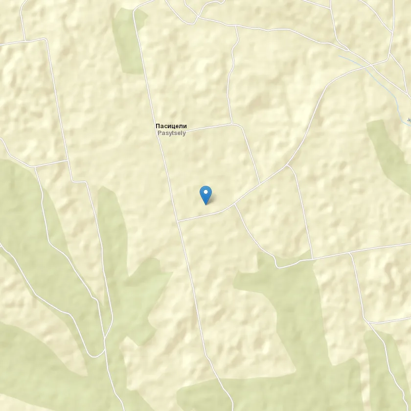 село Пасицели індекс 66447