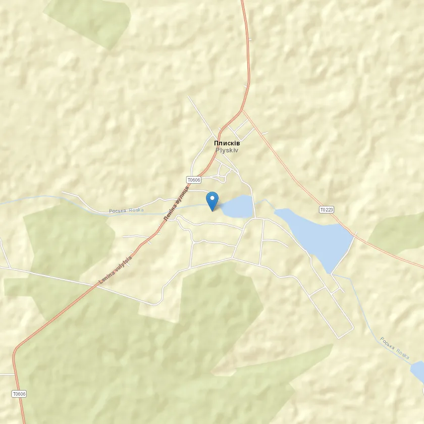 село Плисків індекс 22252