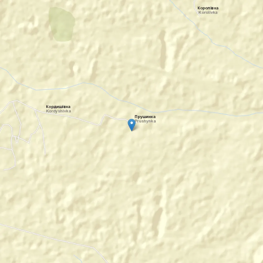 село Прушинка індекс 22148