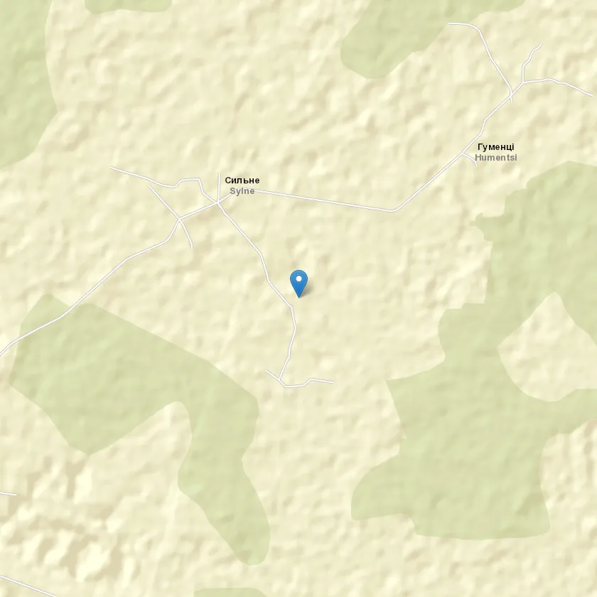 село Сильне індекс 44314