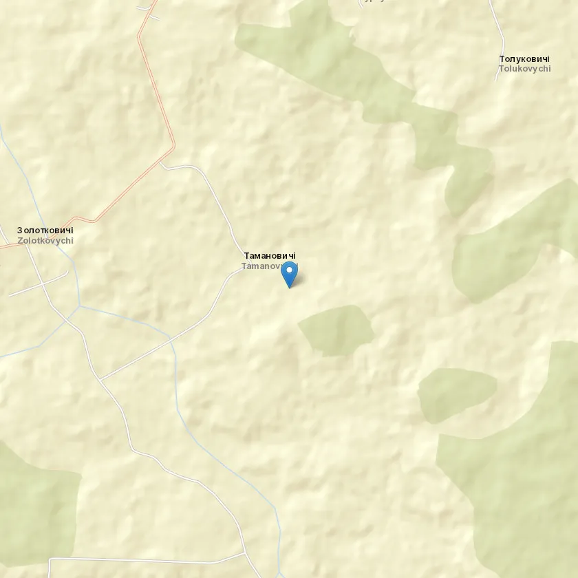 село Тамановичі індекс 81398