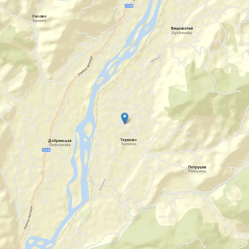 село Терново індекс 90545