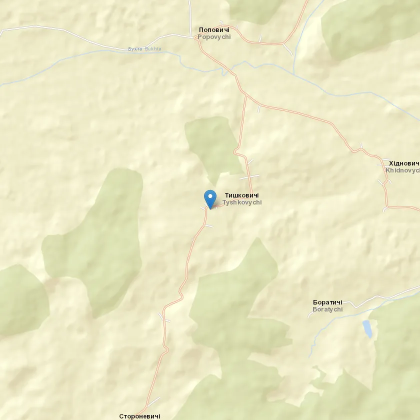 село Тишковичі індекс 81396