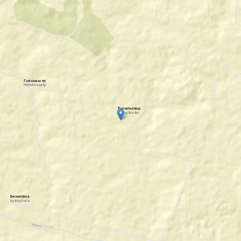 село Васильківці індекс 32137